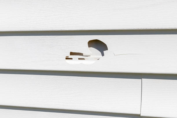 Best Engineered Wood Siding  in Sun Village, CA