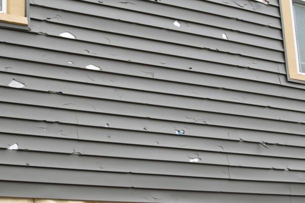 Best Siding Painting and Refinishing  in Sun Village, CA