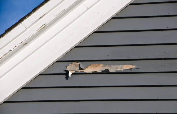 Best Insulated Siding Installation  in Sun Village, CA